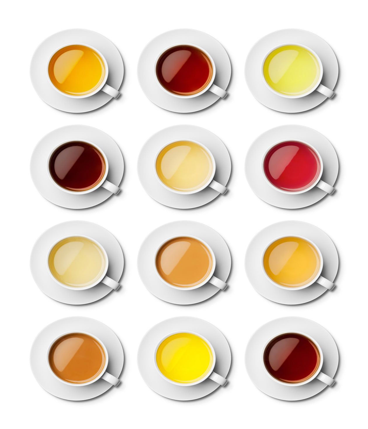 Tea Craft: The Different Types of Tea