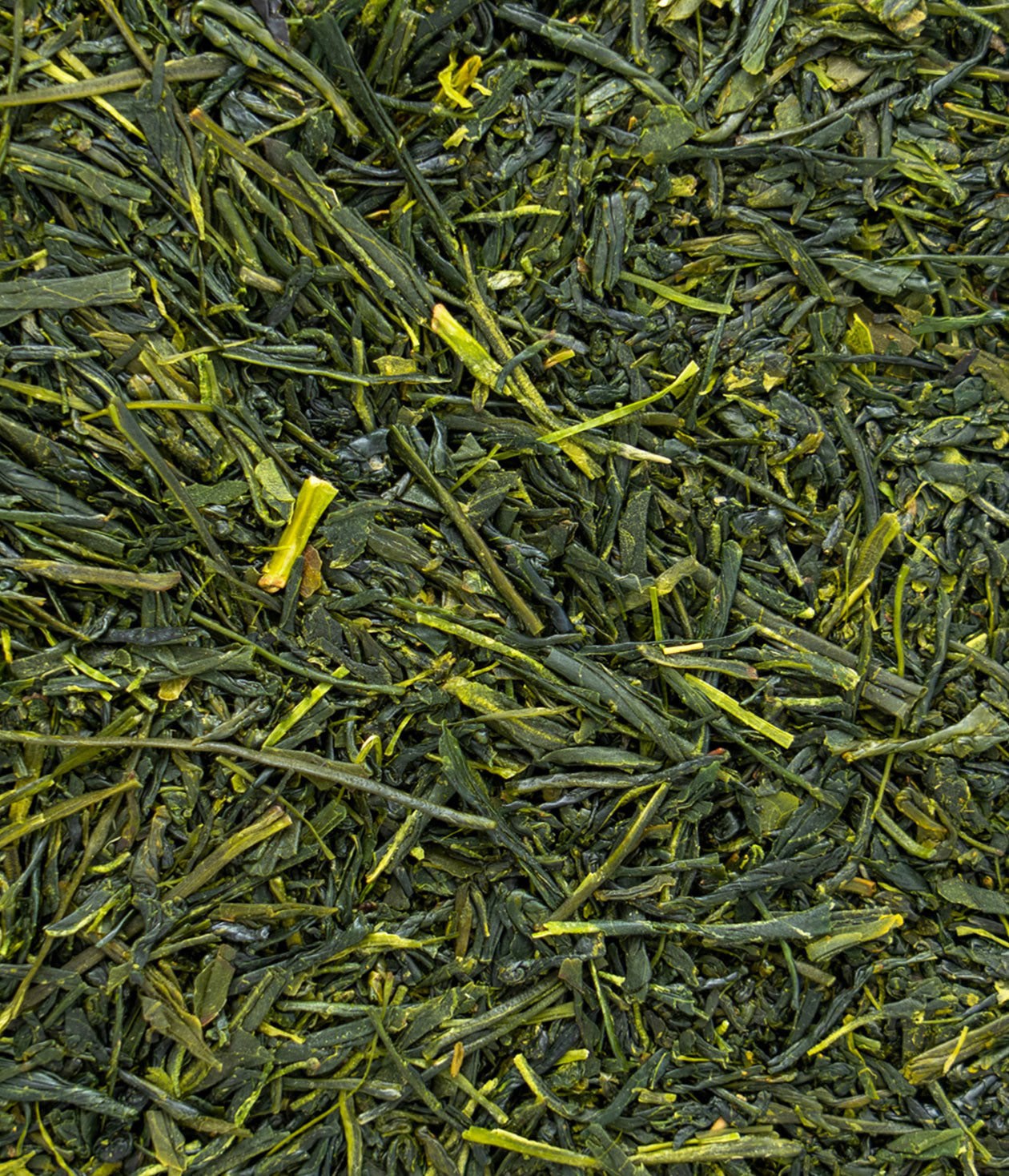 What is Green Tea?