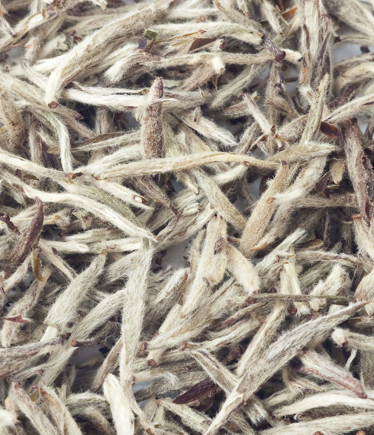 White Whiskers, White Tea