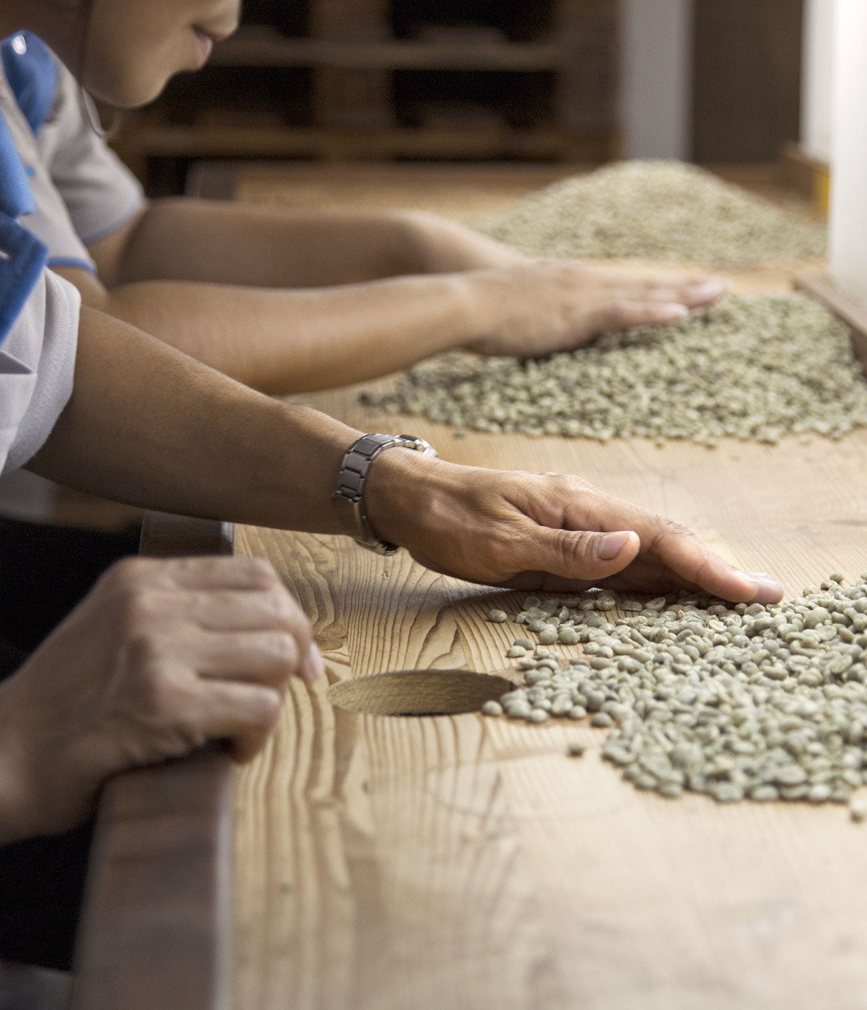 Coffee Craft: Sorting the Beans